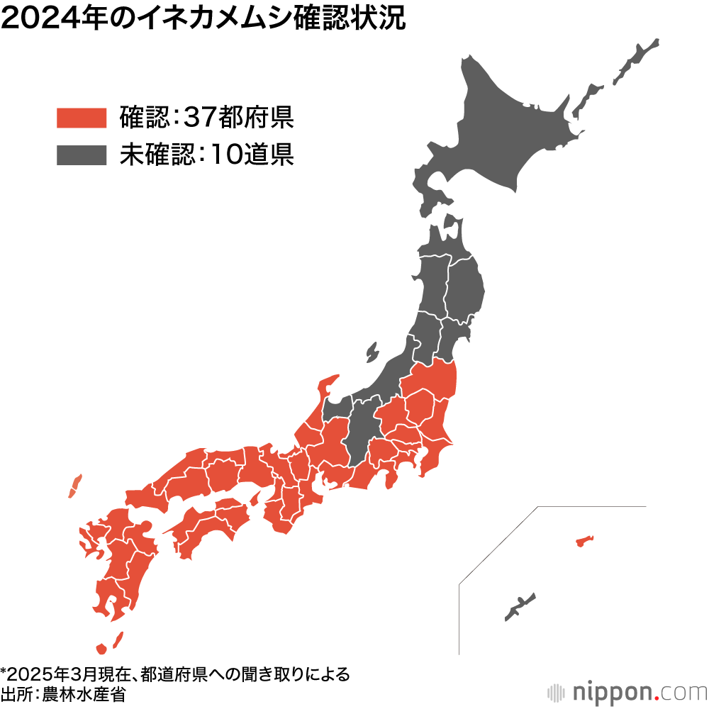 2024年のイネカメムシ確認状況